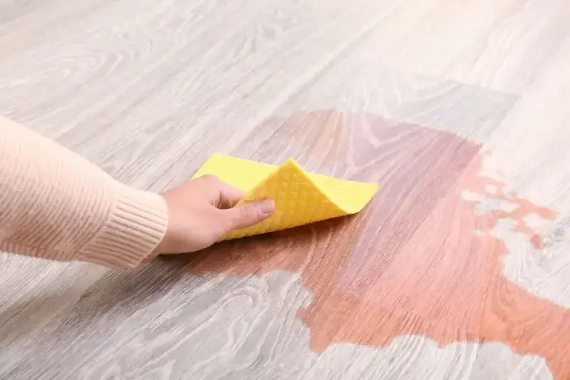 Reliable Surface Stain Removal in North Port, FL
